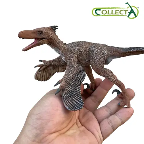 Collecta Velociraptor Dinosaur Animal Toy Model In 2024