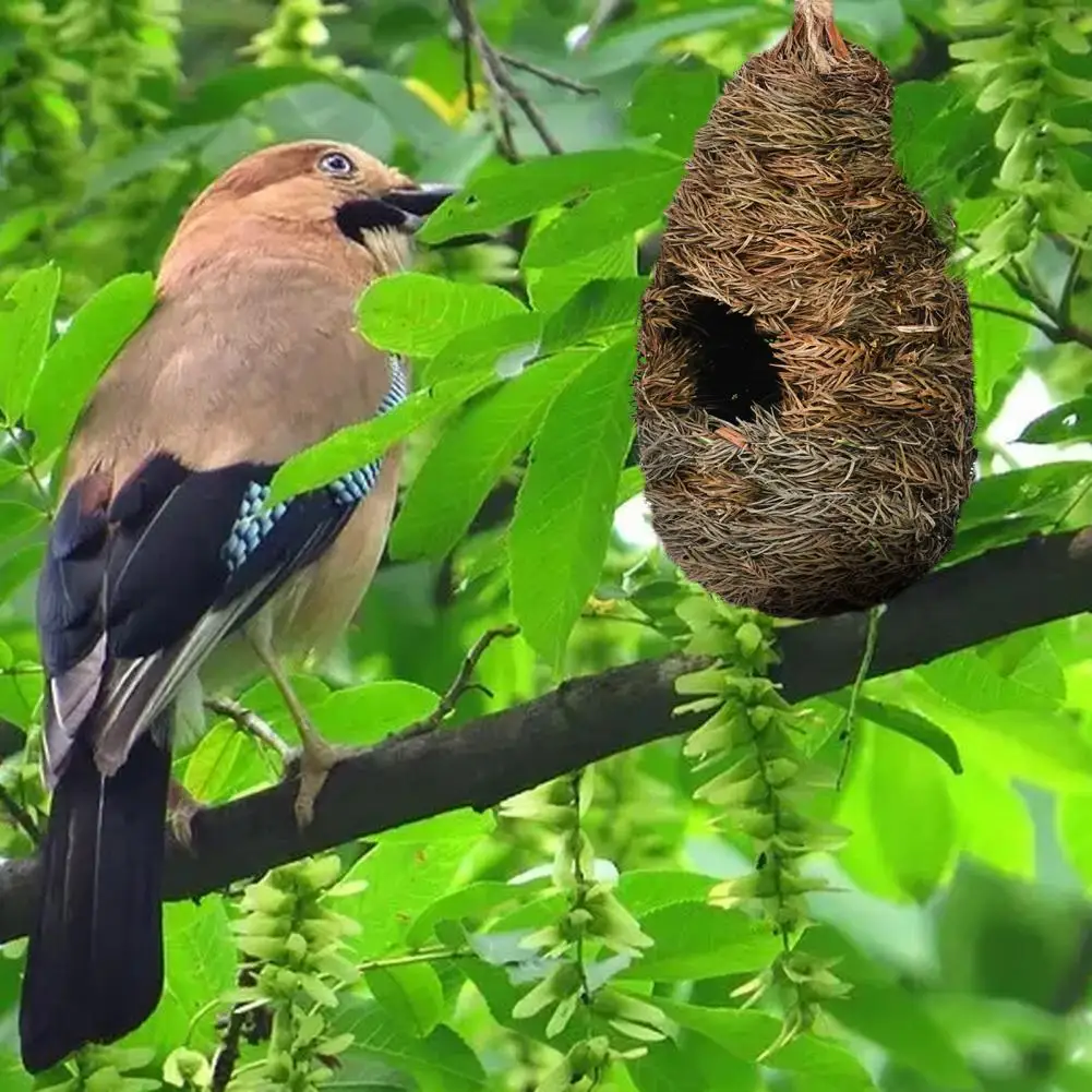 Moisture-Proof Outdoor Bird Nest, Grass Bird House, Hanging Parrot Nest, Houses, Bird Supplies