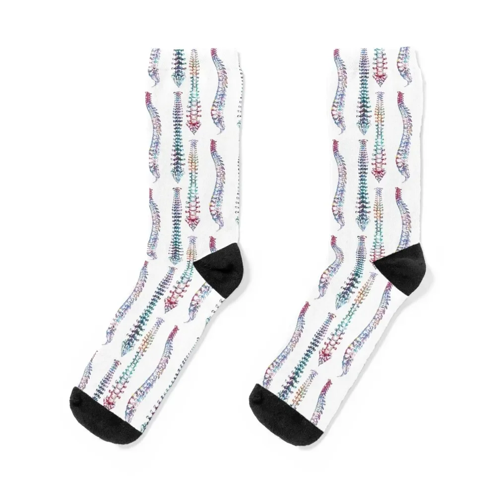 Spine Front, Back, and Sideview Anatomy Socks Antiskid soccer hockey Toe sports Socks Women's Men's