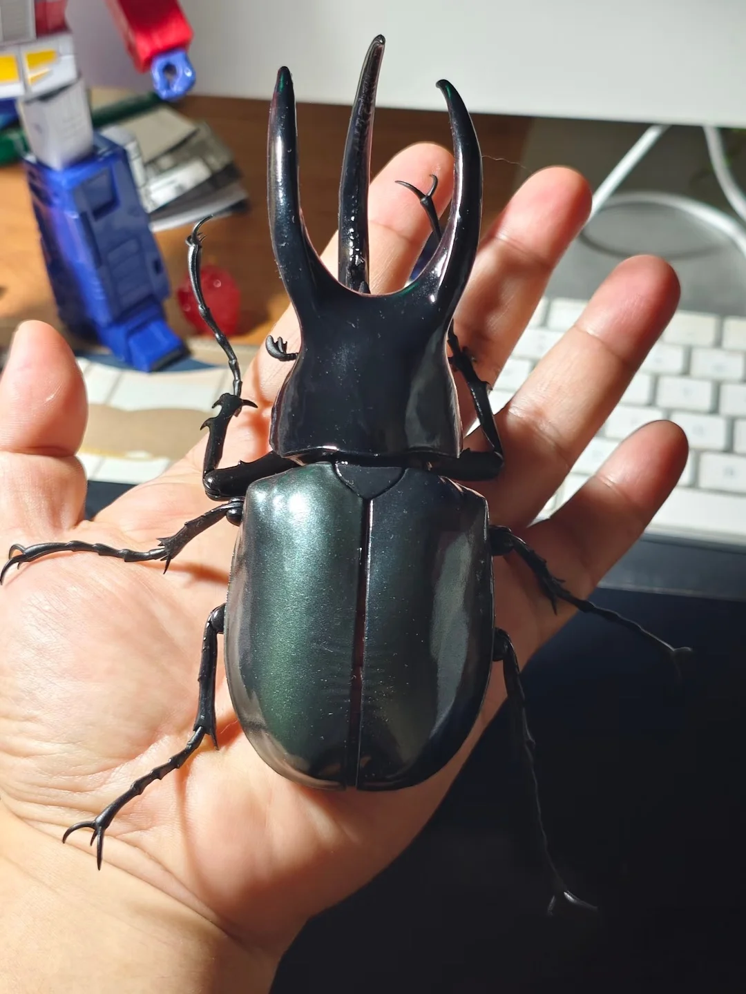 بانداي تشالكوما أطلس القوقاز خنفساء نموذج متحرك لعبة زخرفة الحشرات فائقة الواقعية لهواة الجمع شخصيات الحركة الأصلية #3