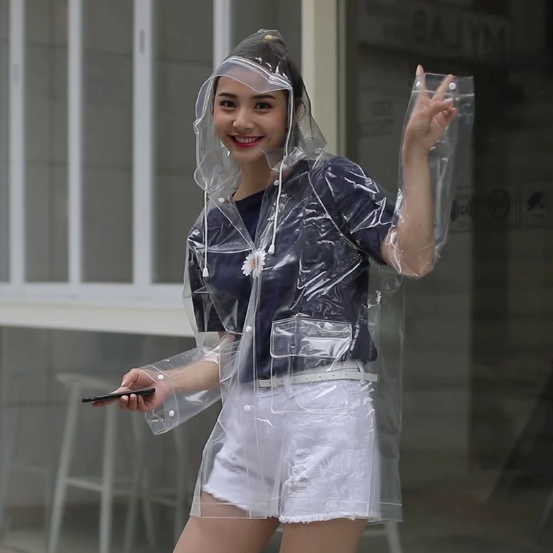 Ort Transparent Rai… - image