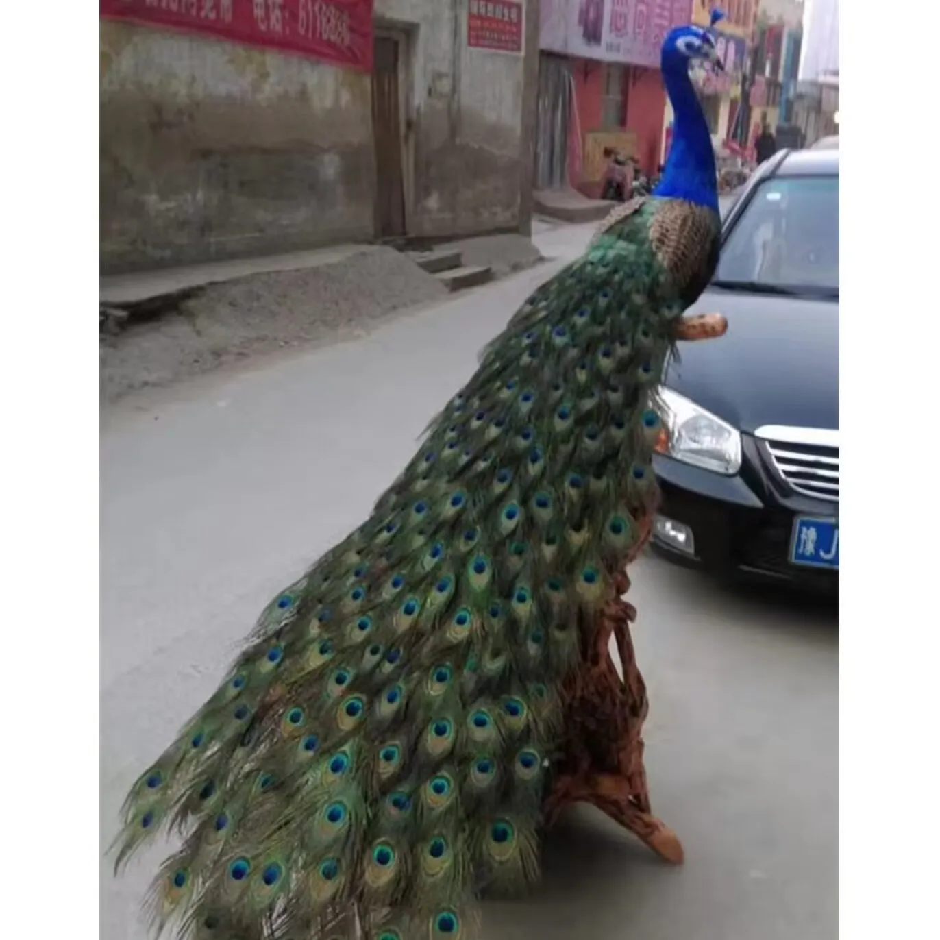 long tail simulation peacock model foam&feather huge peacock bird gift about 180cm d0583