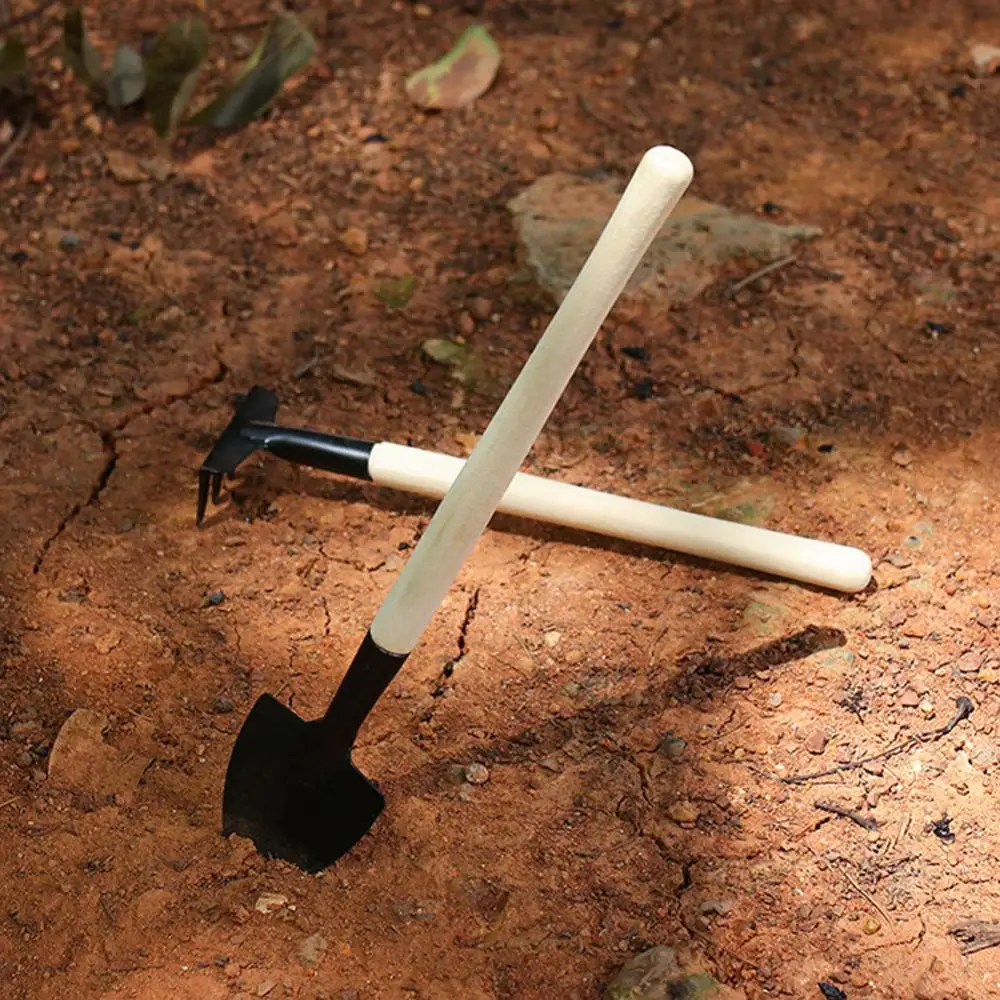 أداة نباتية صغيرة بوعاء ، زراعة أزهار ، نبات بوعاء منزلي متعدد الوظائف ، تربة بترولة فضفاضة ، 3 48 #5