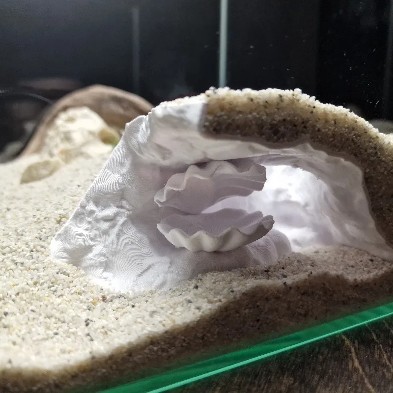 

Hidden Shell Fish Tank Cave 3D Printed, Small Fish Shrimp Crayfish Hideout, Spawning Breeding Cave, Aquarium Landscape Ornament