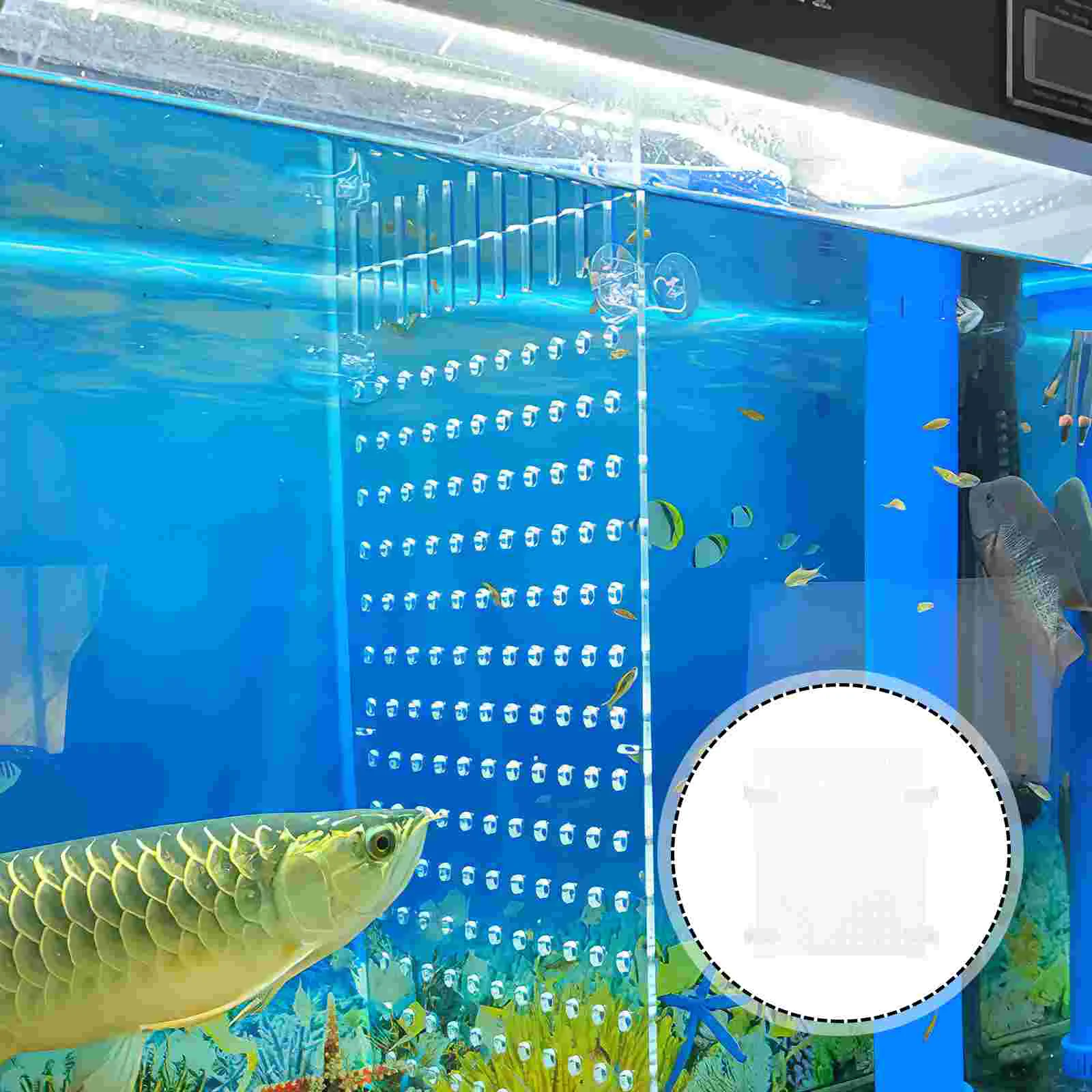 

Transparent Acrylic Isolation Board 25x30cm Aquarium Divider Fish Tank Separator Free Cups High Durability Easy Install