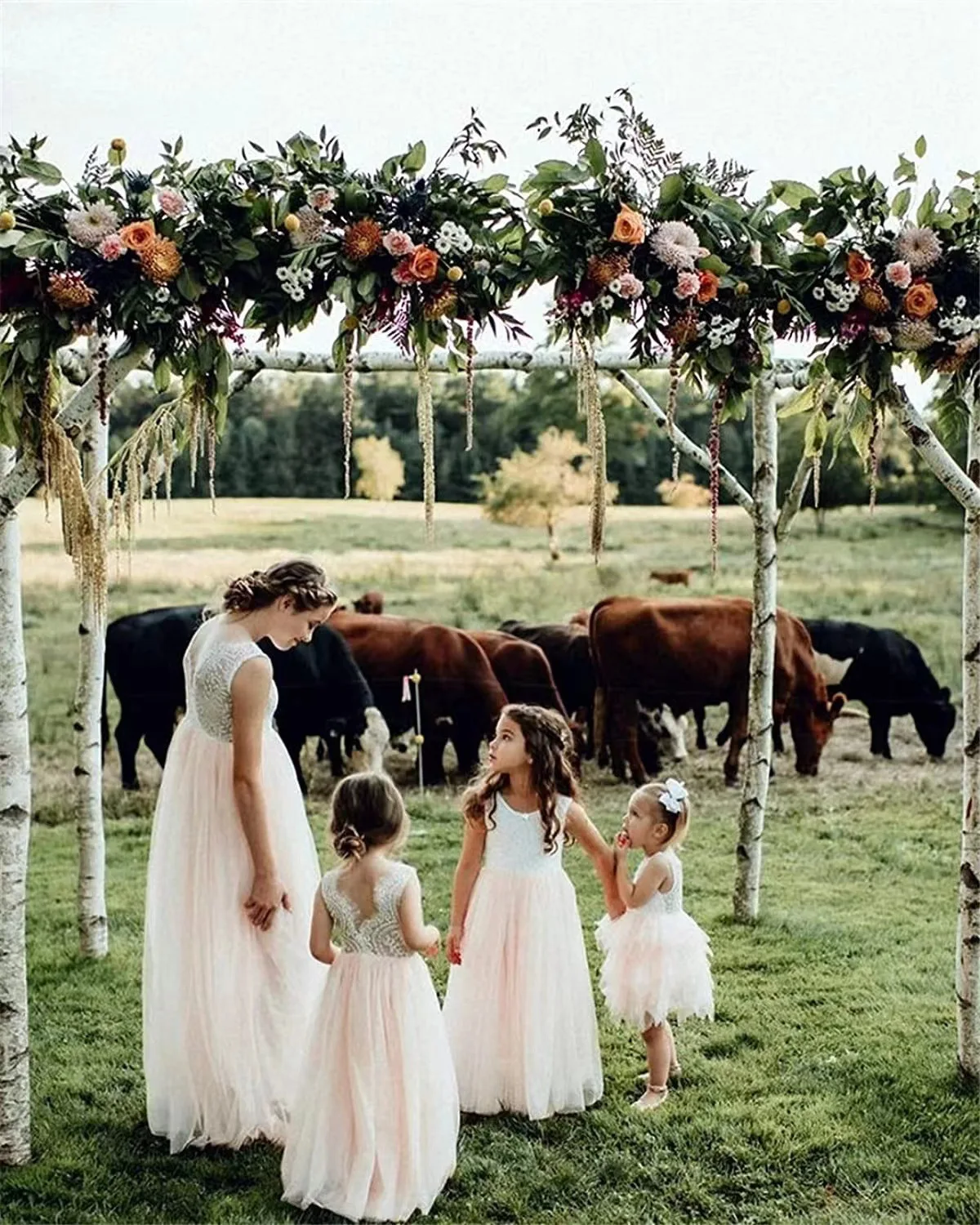 

Lace Mesh Exposed Back Princess Dresses For Girls Children Party Custom Clothes 2-14 Years New Summer Girls Dress