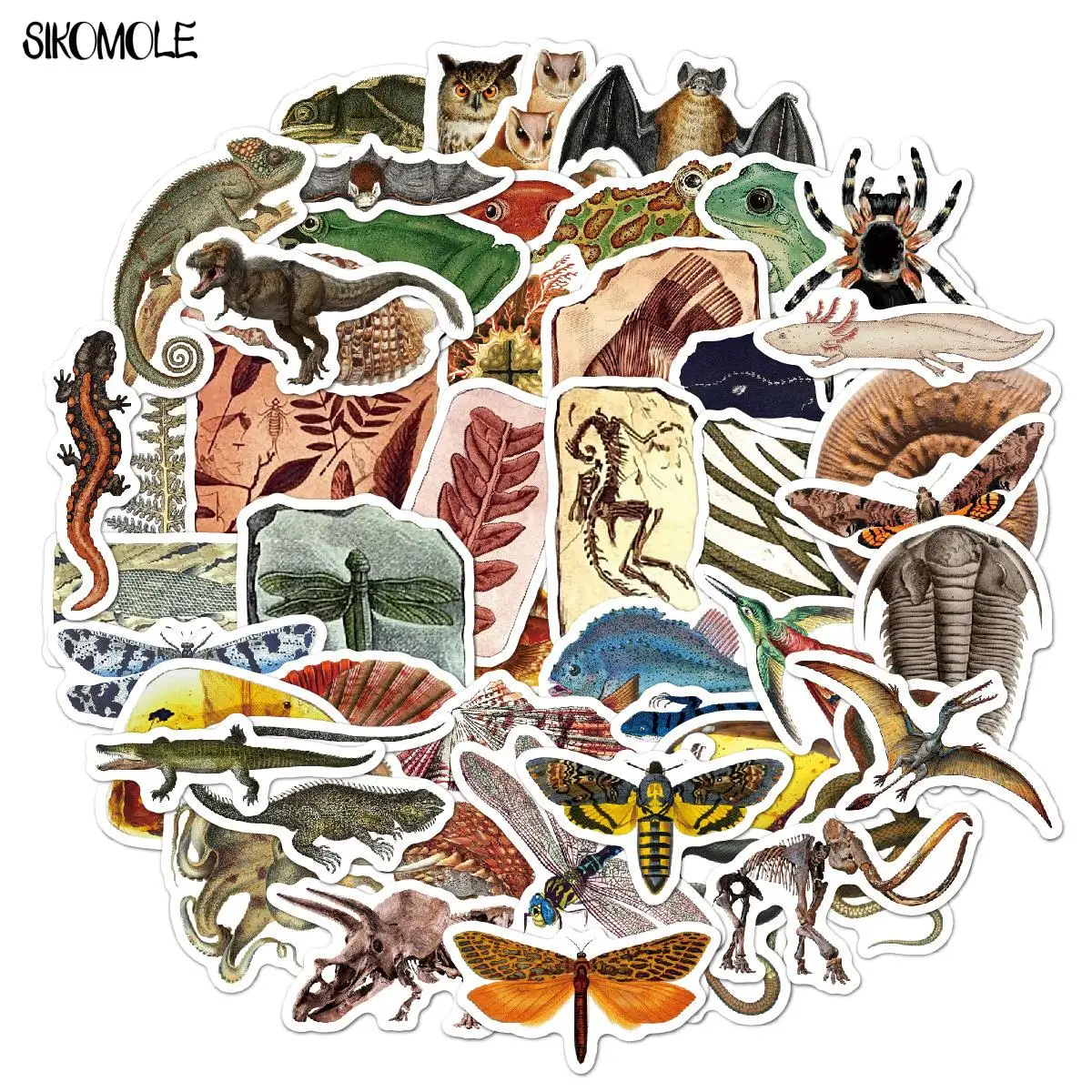 

10/30/50Pcs Retro Dinosaur Fossil Stickers Animals For Kid DIY Toy Luggage Laptop Phone Motorcycle Car Decals Graffiti Sticker