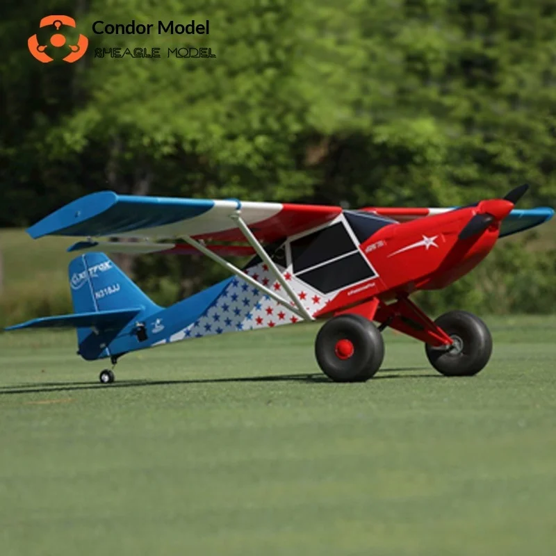 Rheagle Model Fox Electric Rc Fixed Wing Trainer Airplane With Off Road Large Tires Flaps Epo Foam Outdoor Flight For Hobbyists
