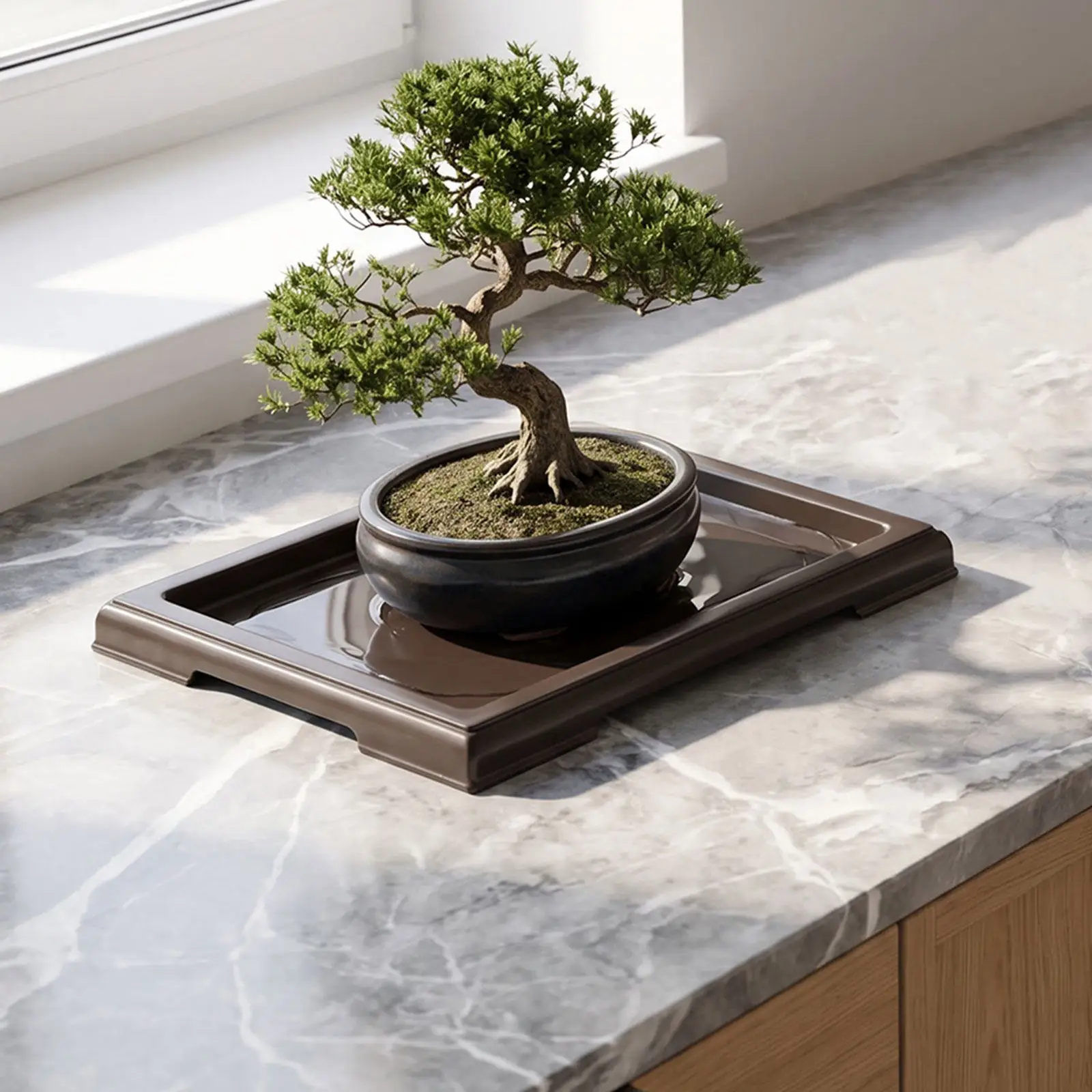 3Pcs Bonsai Humidity Tray Rectangle Plant Drip Tray Water Catch Saucer for Indoor Potted Plants Square Flower Pot 10.4x7.6in