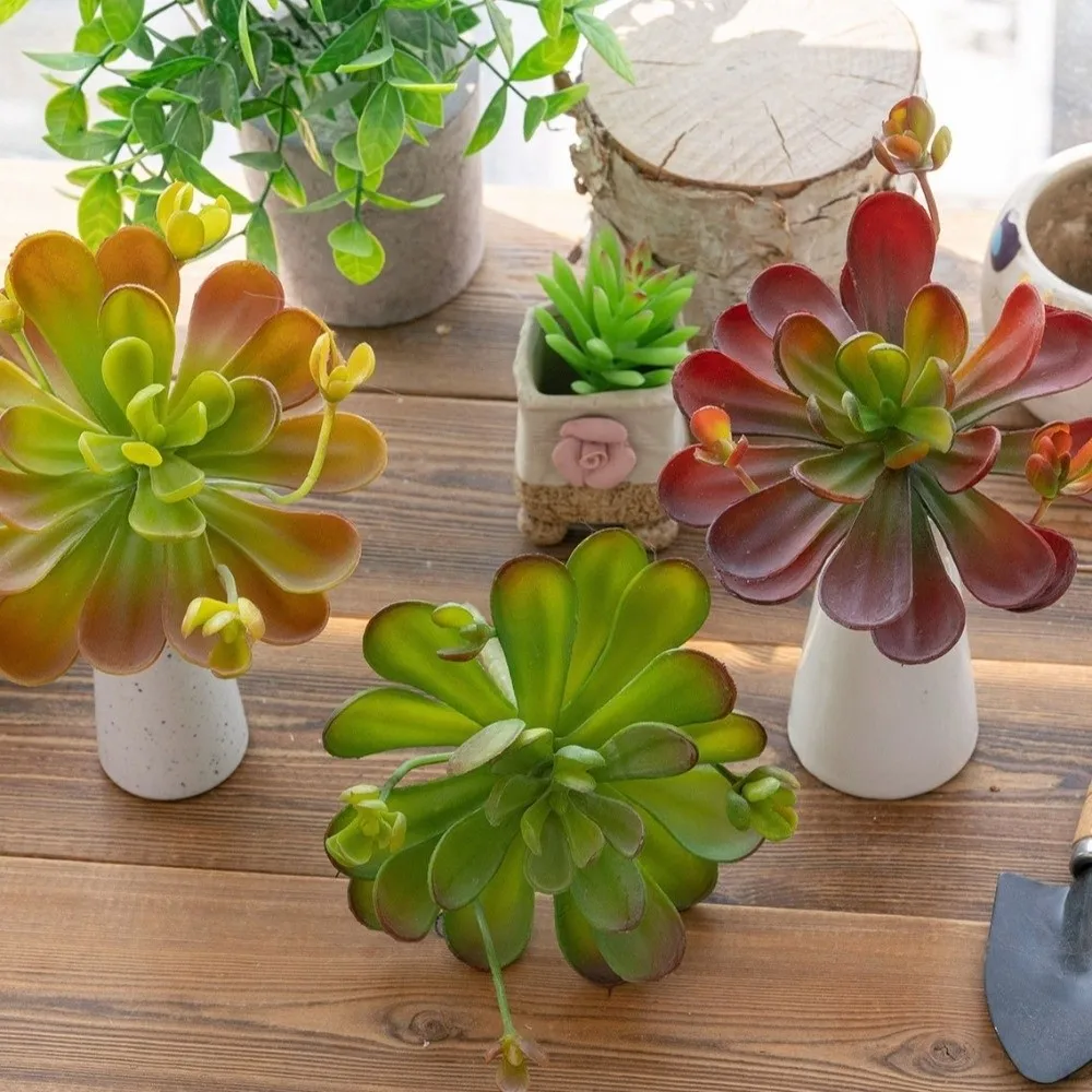 

Fleshy Artificial Succulent Plant Lifelike Plastic Fake Cactus Realistic Real Touch Simulation Bonsai Plant Balcony Decoration