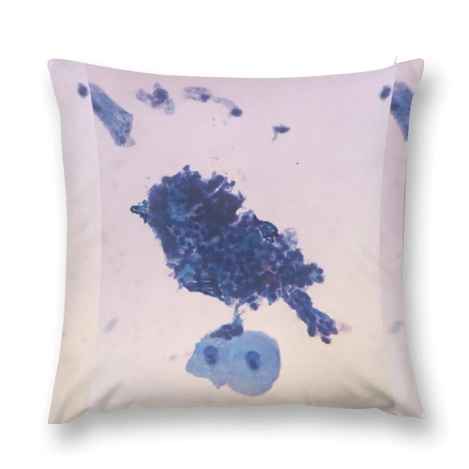 

Sweet Little Cellular Sparrow CytoZoo Bird Throw Pillow New year Pillowcase Cushion pillow