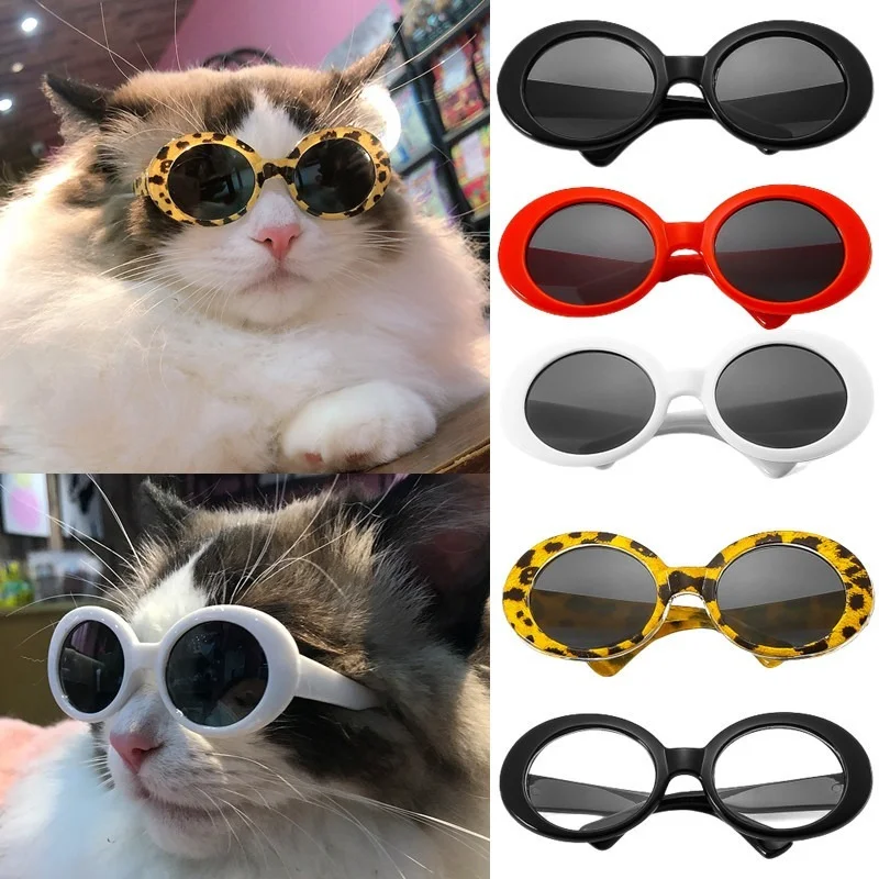 نظارات شمسية دائرية لحيوانات أليفة بتصميم عصري وجمالي – تجربة حقيقية مع منتجات Cool Pet