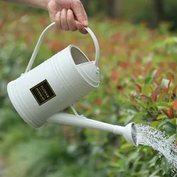 Plastic Watering Can Simple Imitation Iron Sheet Watering Pot with Long Spout Sprinkler Gardening Tools Household Watering Can