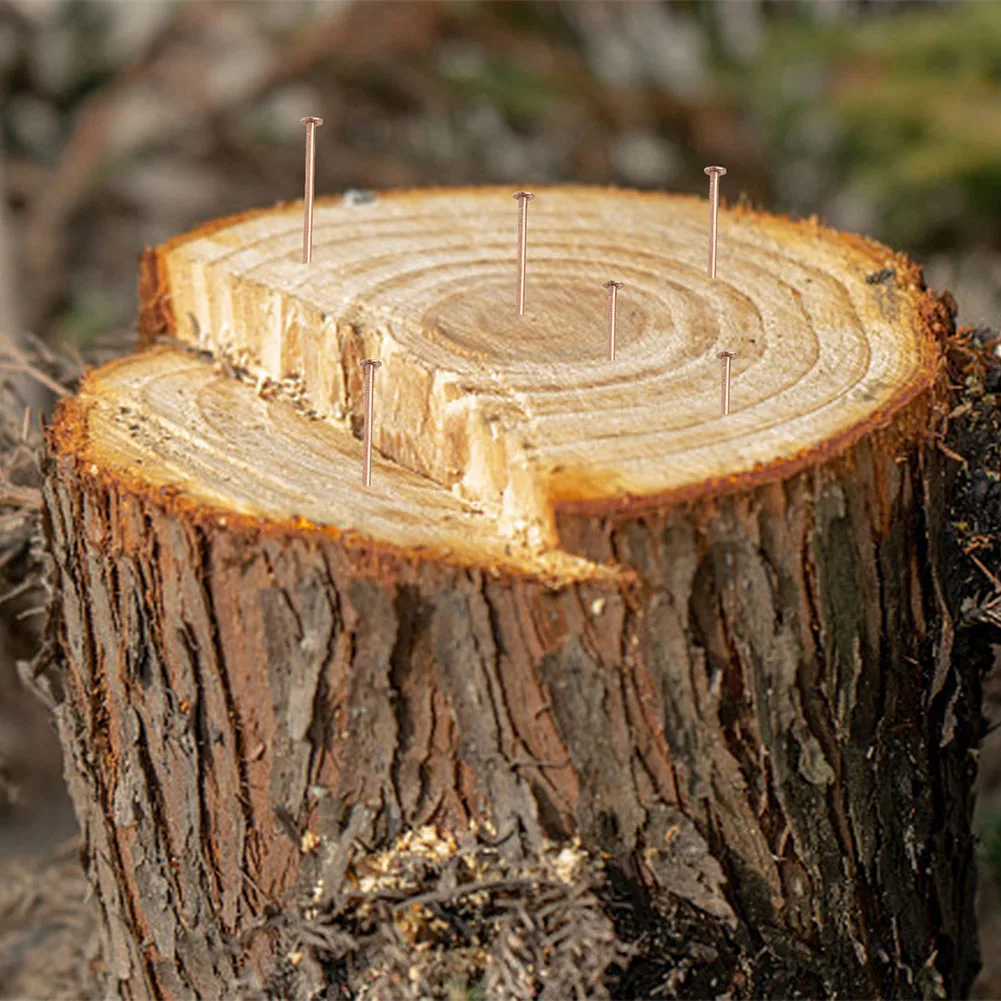 20/30/40/50 قطعة 65/75 مللي متر شجرة القاتل الأظافر مسامير نحاسية كبيرة لقتل الأشجار الجذع الجذر جذع إزالة المسامير الأجهزة