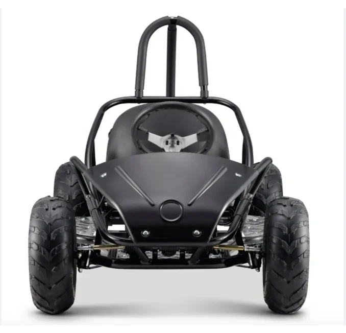 

Professional 168.9cc 4 Stroke Steel CVT F-N-R Electric Road F1 Racing Karting Car Kids Adult Go Kart
