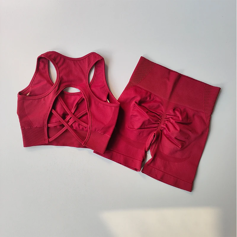 2 PCS Women's Seamless Yoga Set Sexy Sport Bra High Waist Sports Shorts Gym Fitness Sleeveless Workout Suit Sporstwear image 3