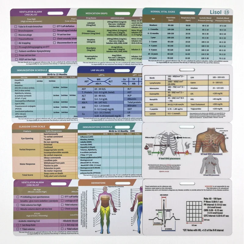 Custom  Nursing Student Internship Contrast Practice Plastic ID Badge Reference Cards For Nurse