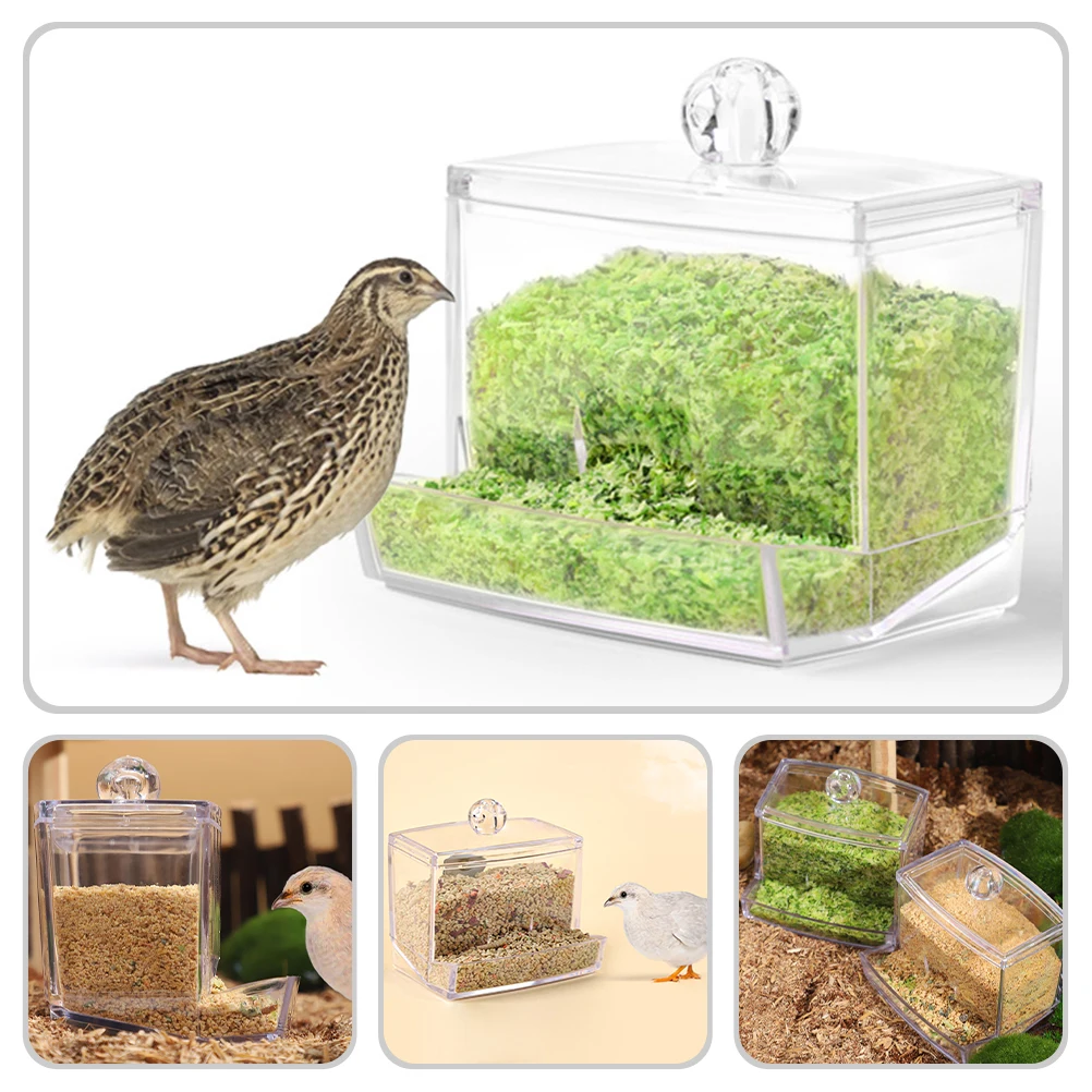 

2Pcs Automatic Chicken Feeder No-Mess Design Easy Clean Durable for Life Automatic Chicken Feeder