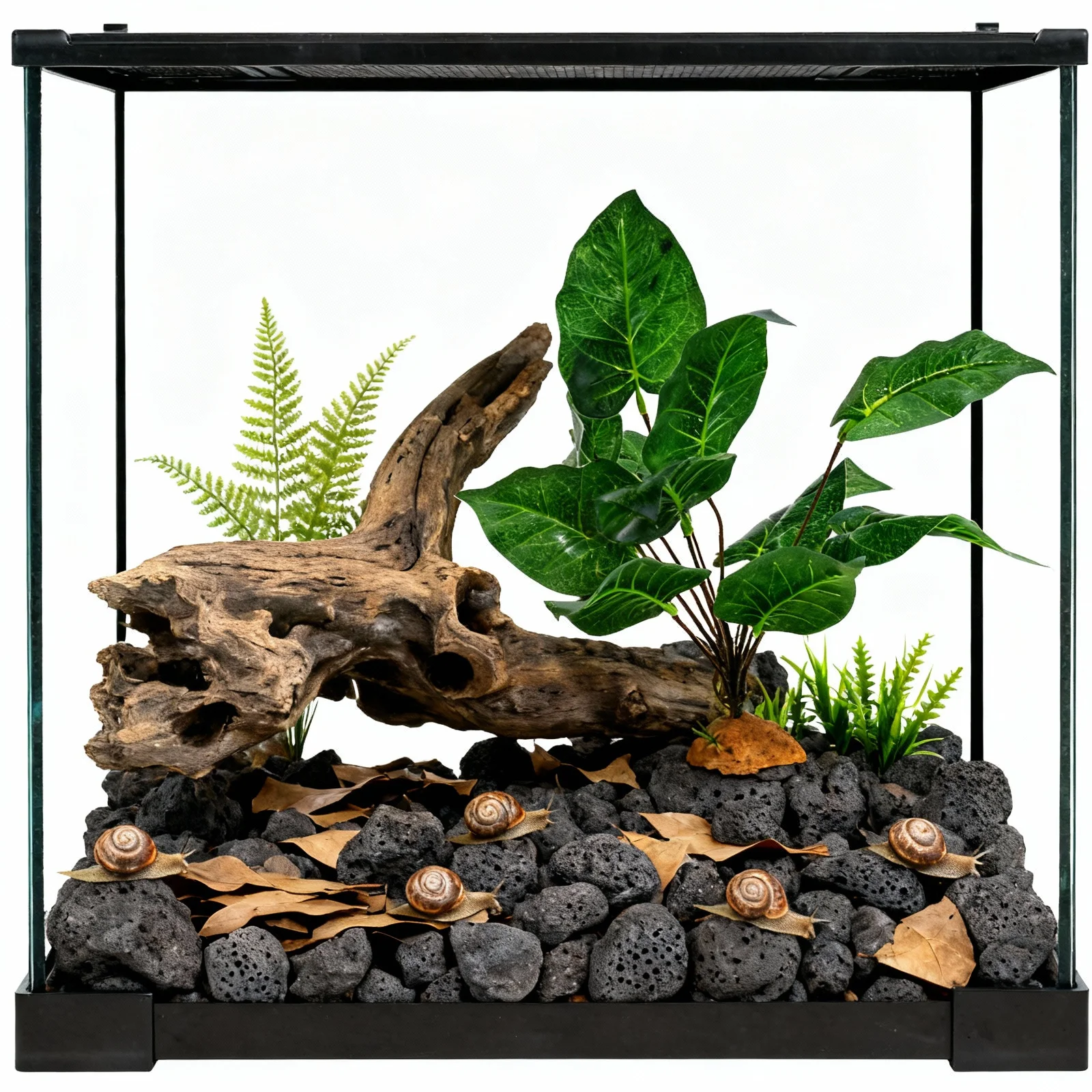 

Decorative Plant For Reptile Terrarium Lifelike Artificial Plants Durable Amphibians Tank Decor Simulation Landscape Ornament