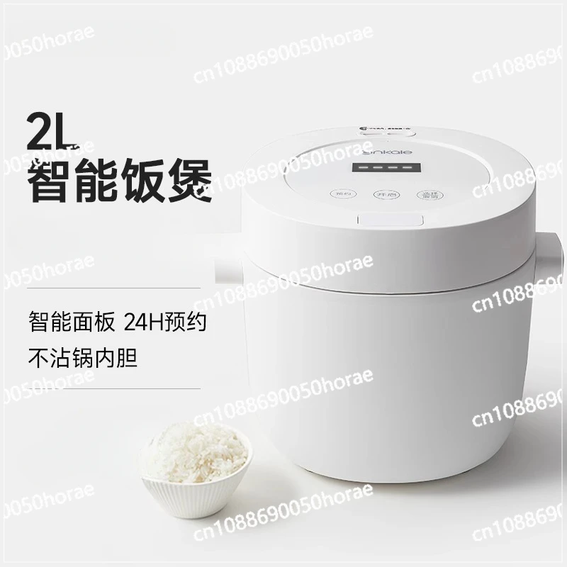 Multi Functional 2L Liter Smart Cooking Mini Rice Cooker for Home Use