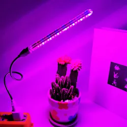 ไฟ LED สำหรับเพาะต้นไม้5V แบบฟูลสเปกตรัม5V โคมไฟปลูกพืชในร่มโคมไฟ Phyto สำหรับเรือนกระจกเต๊นท์บ้านดอกไม้ต้นกล้า
