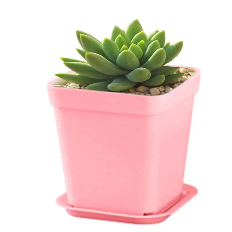 

Square Seedling Pot Durable Succulent Planter Container Colourful Small Square Pots Gardening Supplies For Small To Medium