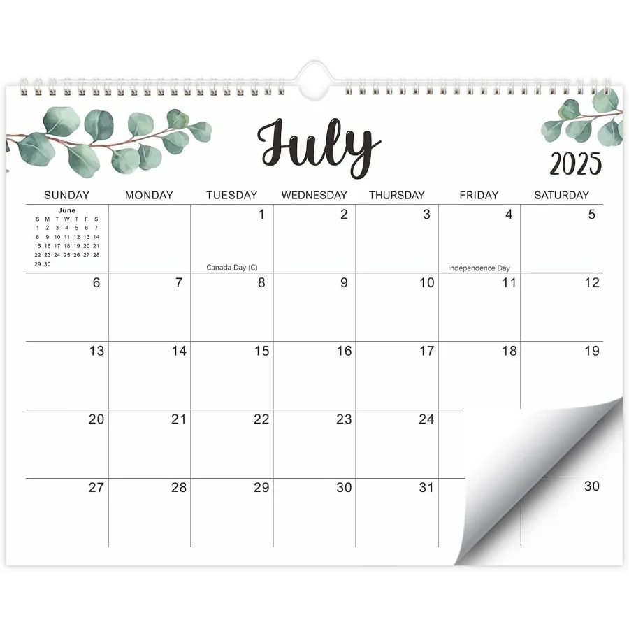 

Календарь 20252026 15 x 12 дюймов Вертикальный настенный календарь работает с июля 2025 г. До декабря 2026 Современная зелень Эстетический календарь Perfec