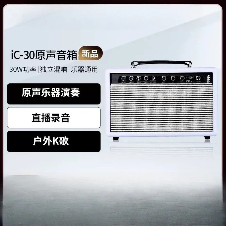 OEMGuitar Speaker iC-30 Folk Instrument Singing and Playing Charging Outdoor Portable, Live Streaming Saxophone Speaker