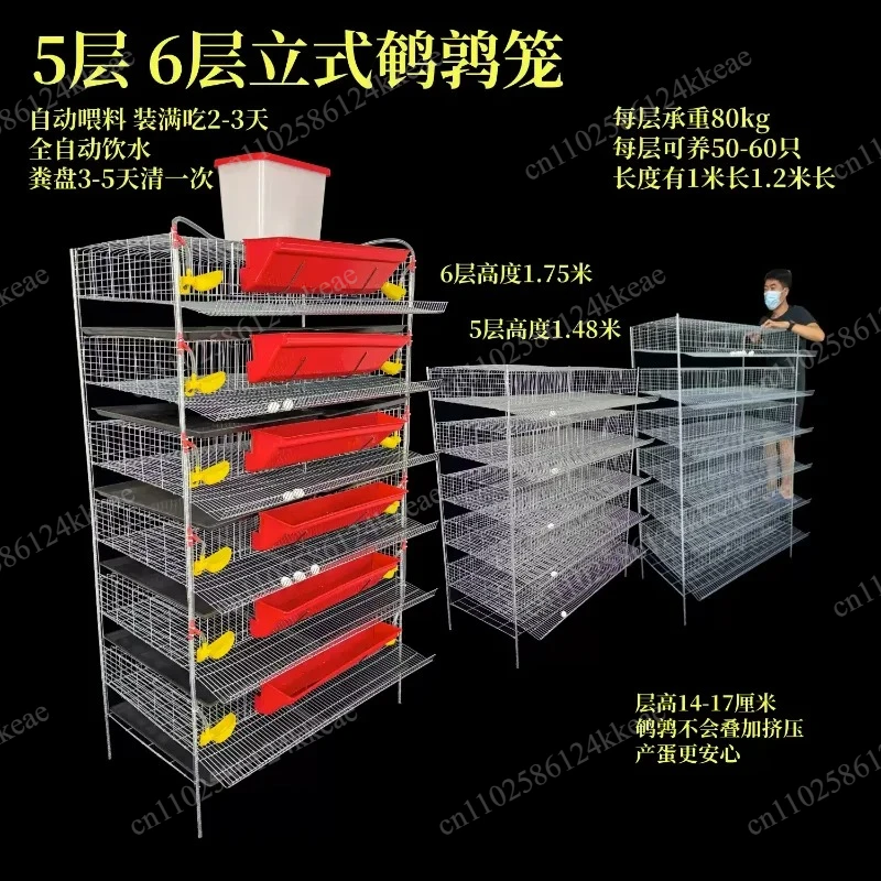 Can Automatically Clear Manure Feeding Drinking Water Quail Egg Production Cage Vertical Quail Cage