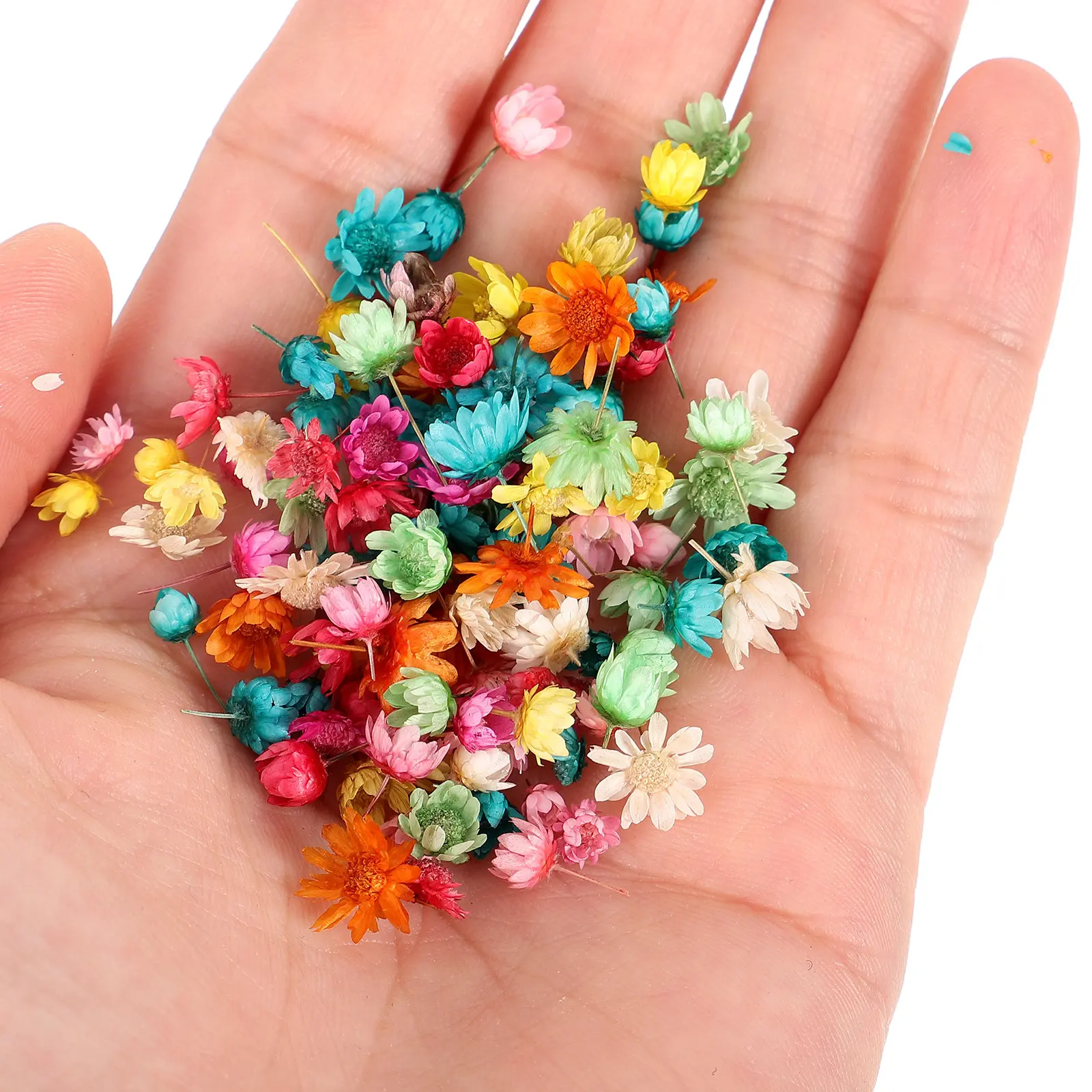 

Vase Wedding Dried Flowers Craft Kit DIY Crafts Supplies Pressed DIY Dried Flowers DIY Candle Supply Flowers Vase Flower Decor