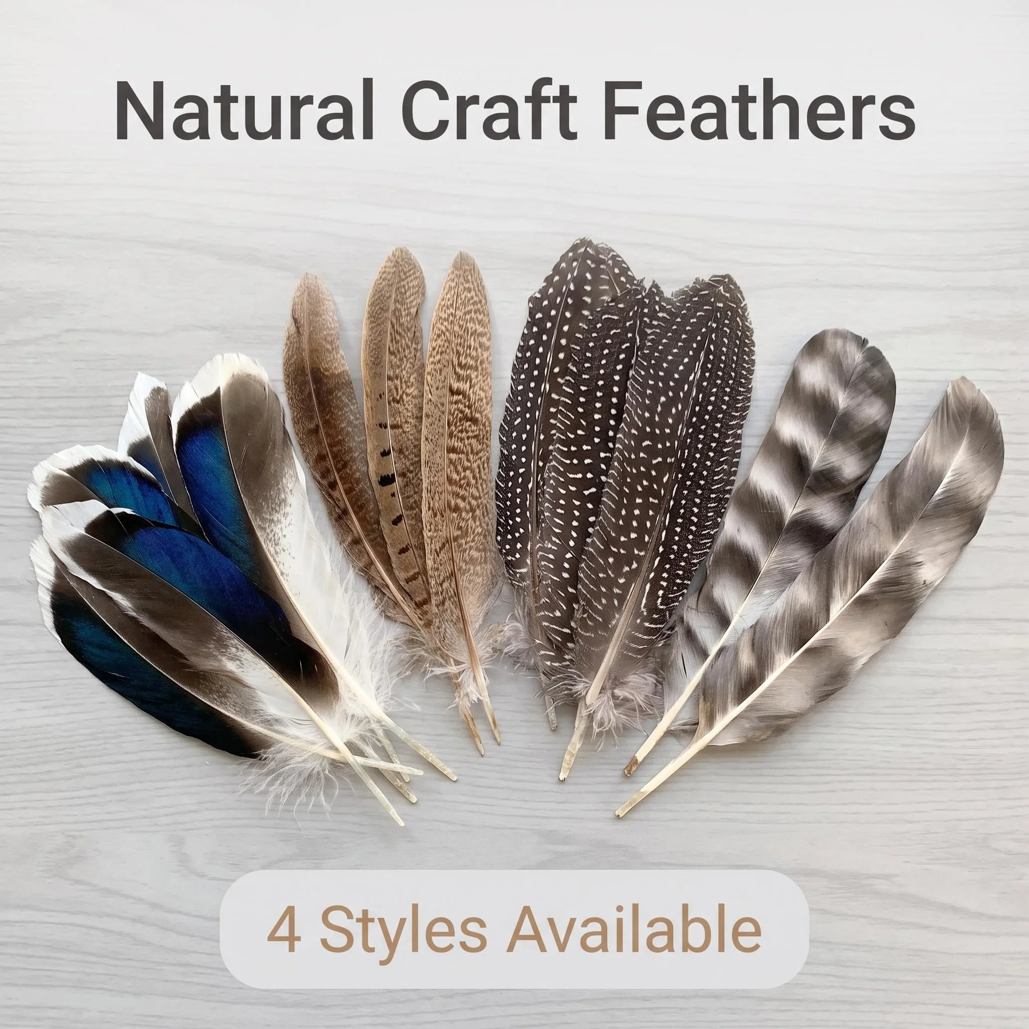 Natural Bird Feathers 10-20cm Pheasant Duck Peacock Hen Hackle Barred Feathers DIY Jewelry Hat Costume Craft Accessories