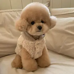 Autumn and winter new pet splicing hooded waistcoat bichon frise pomeranian chenille teddy small dogs dog cat clothes