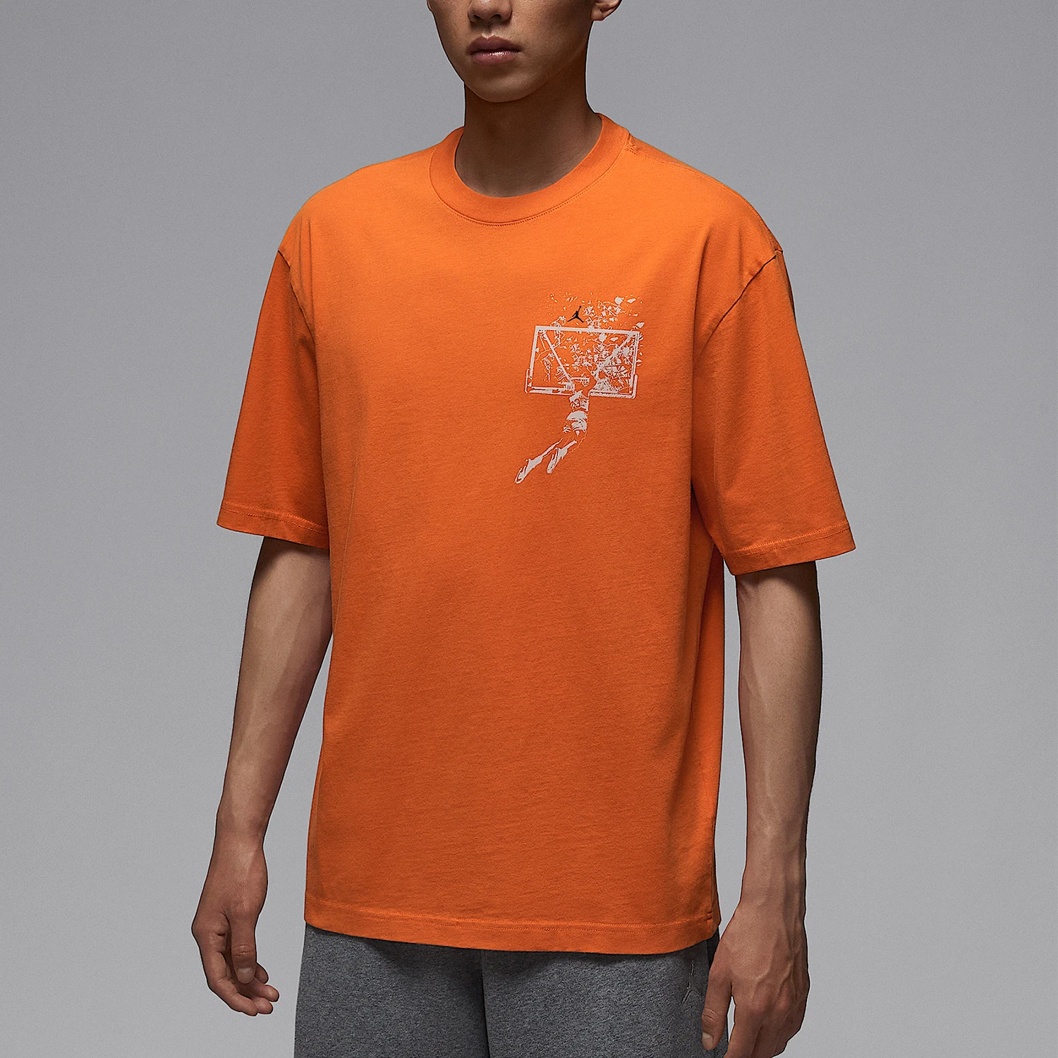 

Nike Genuine Jordan Men's Knit Round Neck Casual T-Shirt IB3298-805