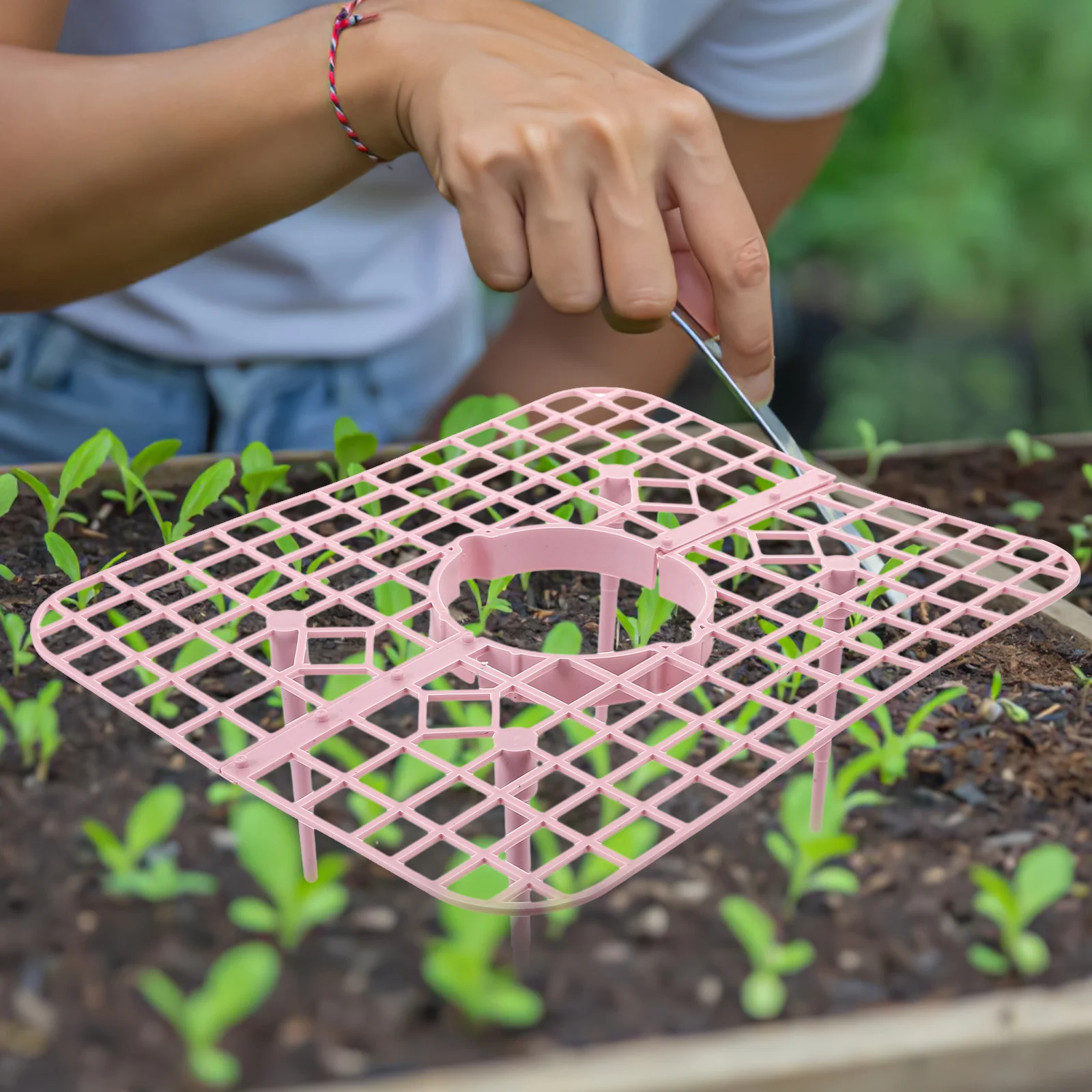 

4Pcs Strawberry Growing Rack Plastic Support Frame for Garden Climbing Vines Potted Plants Improve Ripening Strawberry Supports