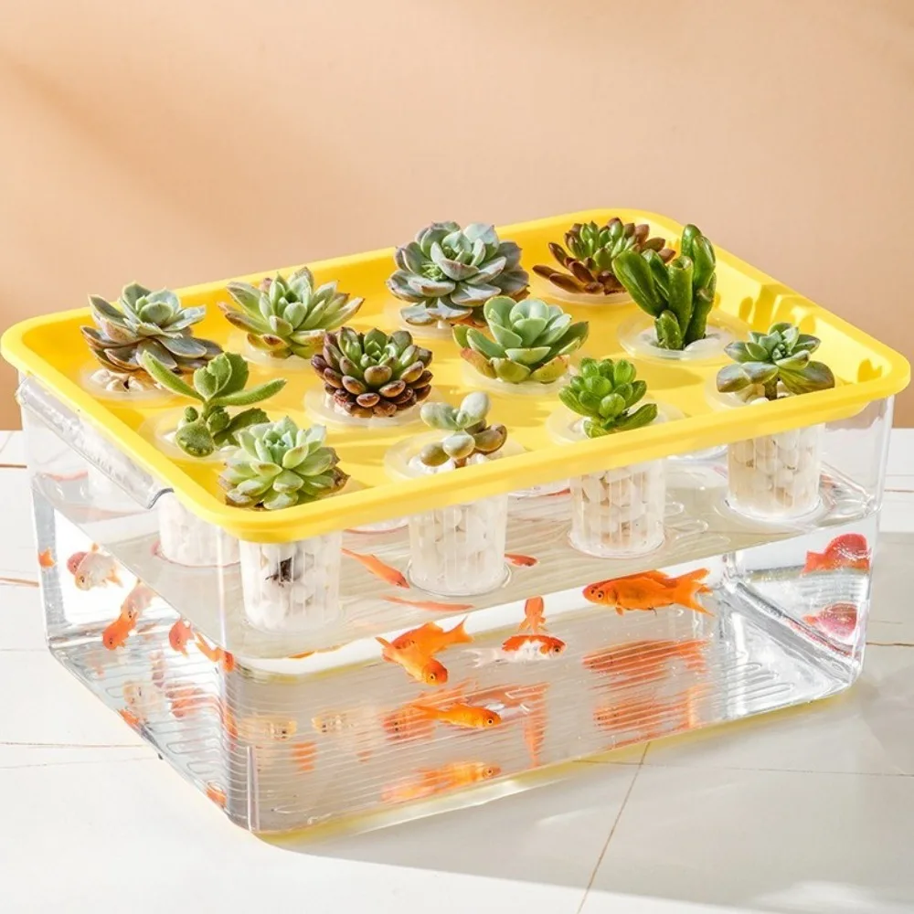 

Transparent Hydroponic Grow Fish Tank Self-Cleaning Soilless Cultivation Nursery Planting Box Healthy Environment