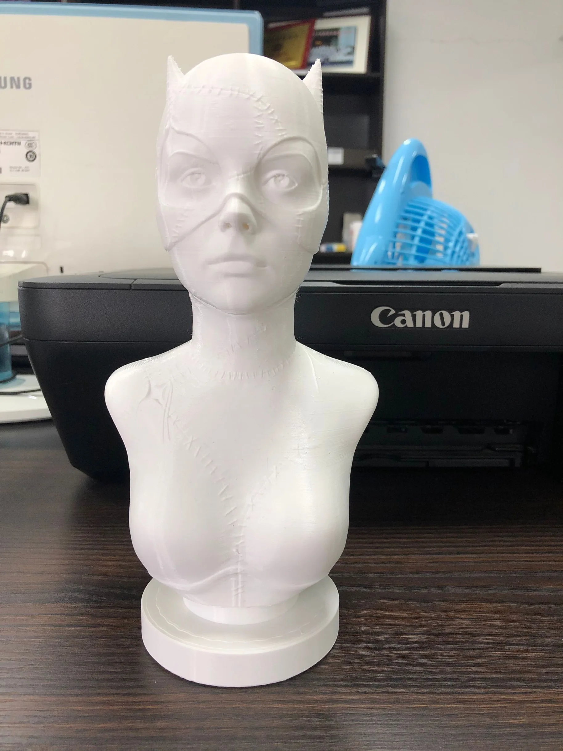 

White Cat woman 3D DIY Resin Toys Art Students Dolls Do it Yourself Art Action figure Craft Model for Studion Home Decoration
