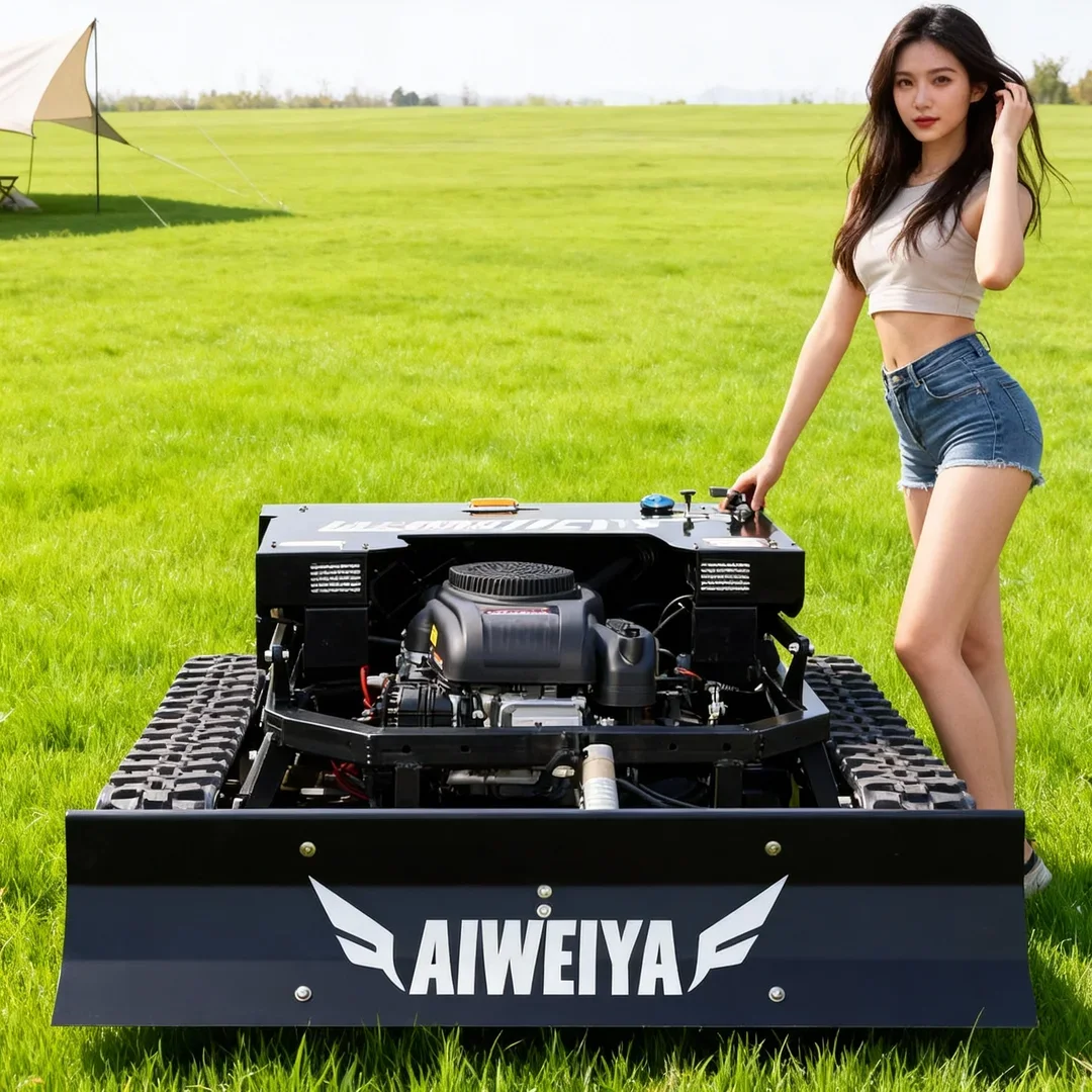 

Customized One-On-One Beauty Sales Lawn Mower Core Engine Motor CE/EPA Certified 2 in 1 Mowing Snow Shoveling