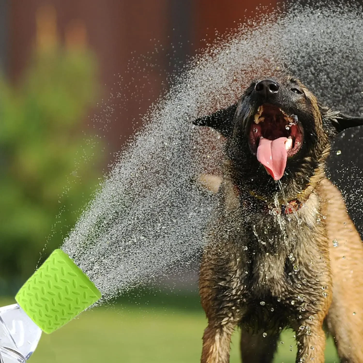 Thumbnail 3 - #1 Cheapest Dog Supplies Deals You Can Get