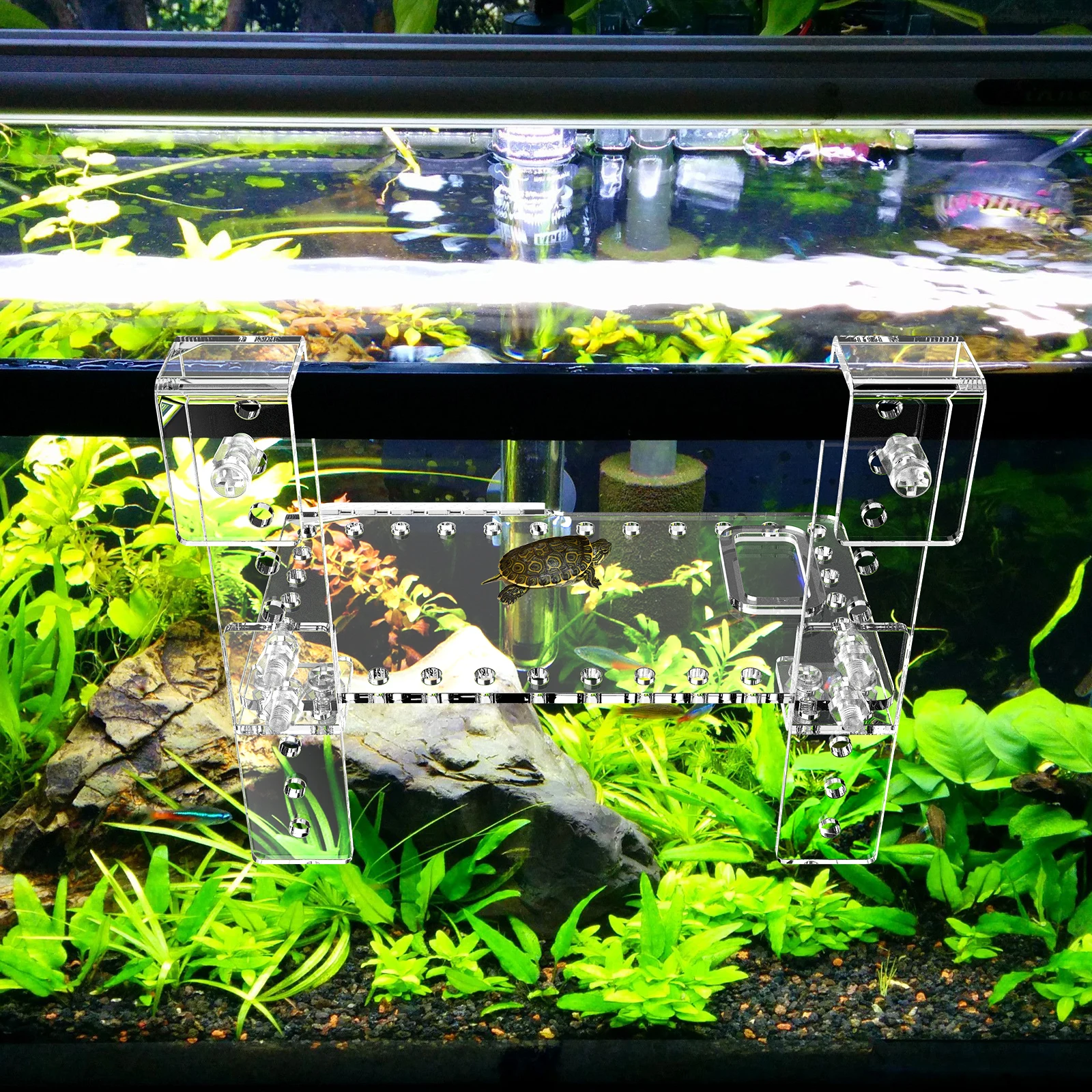 

S Acrylic Turtle Basking Platform High Water Floating Island Hanging Rest Dock for Tank Reptile Pet Supplies Clear Easy Install