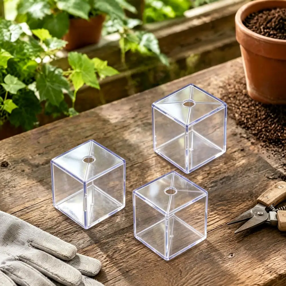 Fruit Growing Shaping Mold, Transparent Fruit Forming Mould Reusable Garden Tool for Growing Special Shaped Fruits