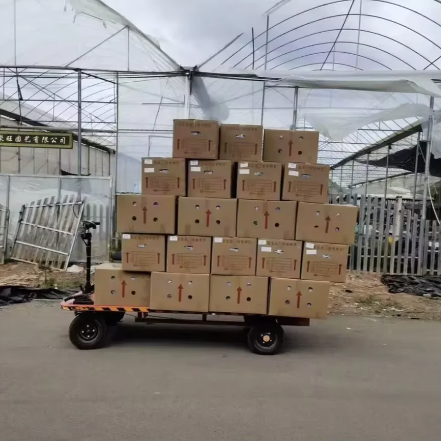 Сверхмощный электрический бортовой транспортер, электроперевозка, 1000 кг, поддольный грузовик с четырехколесным плоским