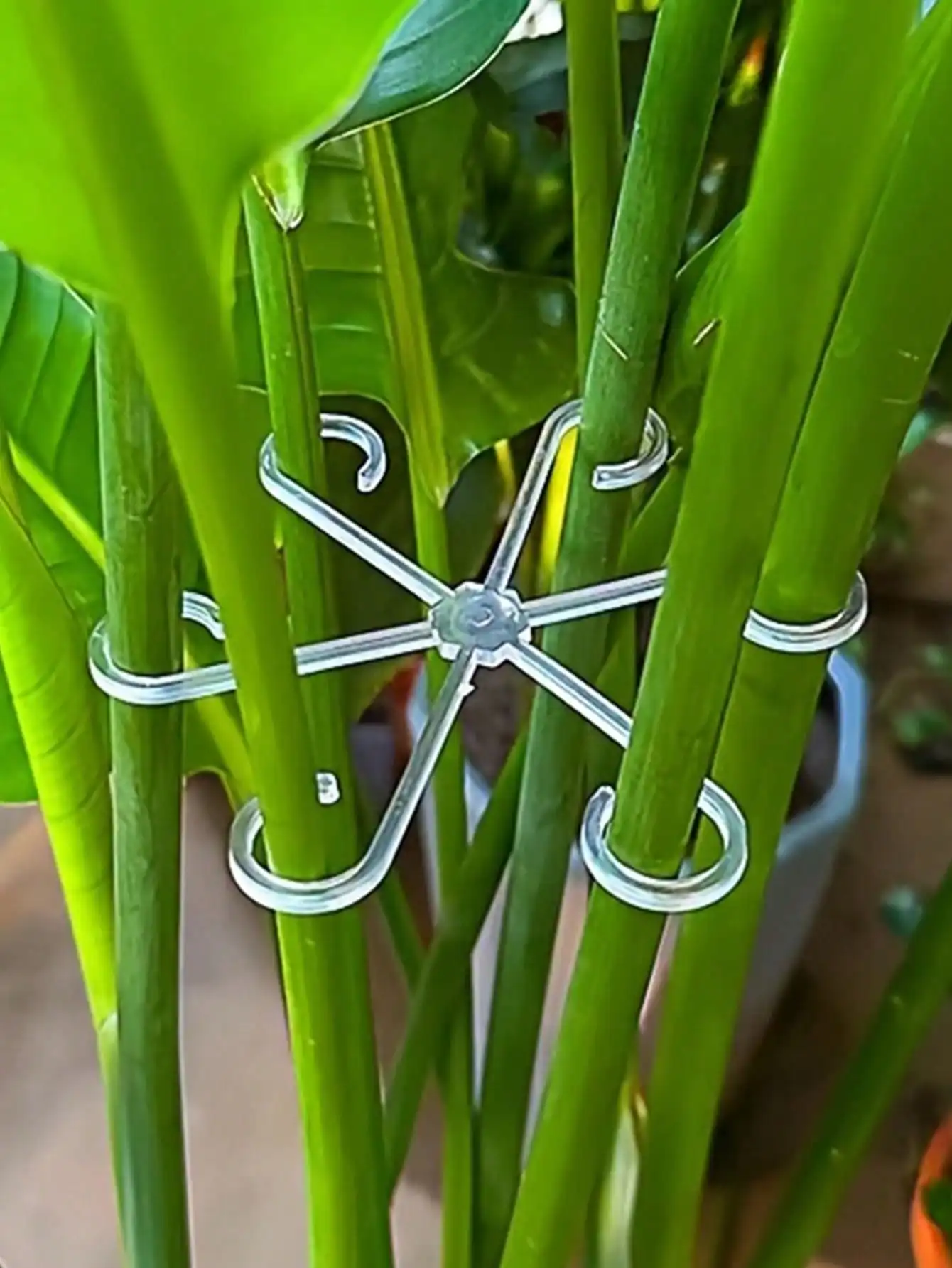 

Бамбуковый фиксатор Turtle Backed для поддержки растений, предотвращающий защемление пружин, с пружинной поддержкой для перьев, для сбора веток, каркас для цветочных горшков, для садоводства