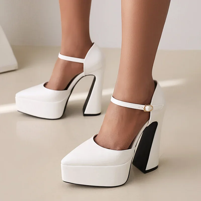 spring autumn fashion Pointed tip high-heeled Women Shoes Solid Shallow mouth Buckle Square heel Mary Jane Women Shoes high 14cm