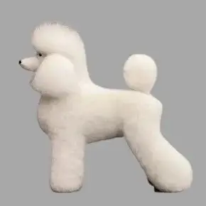 Pet Grooming Training Dog Mannequin Standard Poodle Full Body Practice Model Realistic Hair Fake Head Skeleton Styling Practice