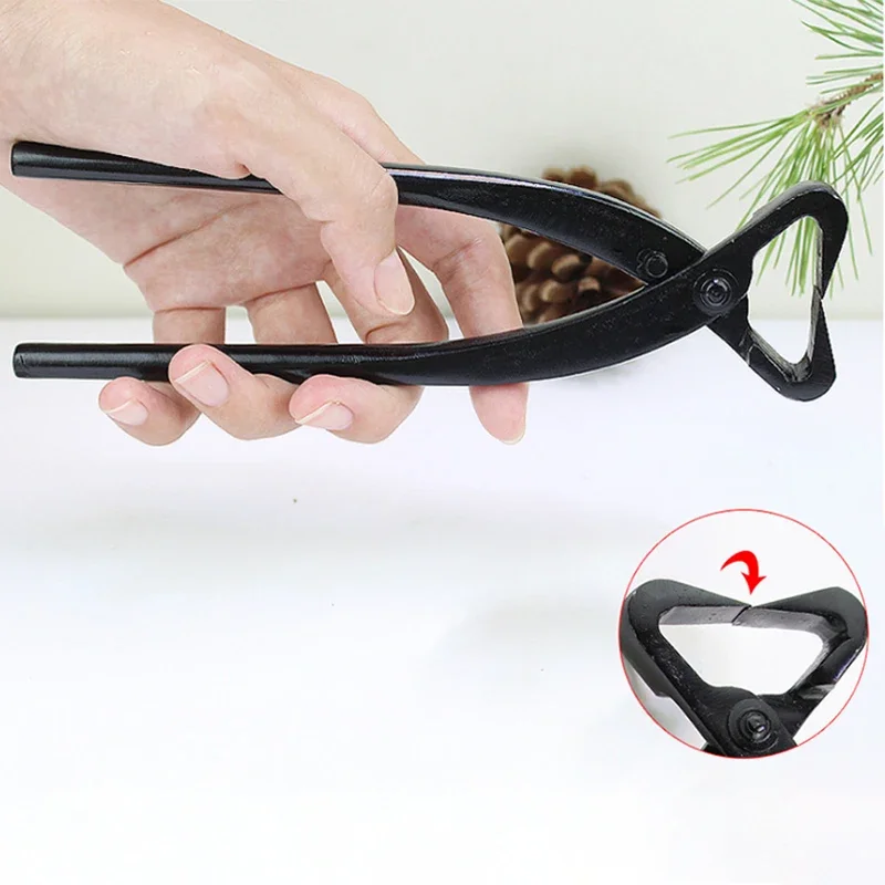 Imagem -02 - Bonsai Botão Cortador Côncavo Edge Cutter Ball Shear Scissors Paisagem Modelagem Ferramentas de Jardim 1pc Profissional