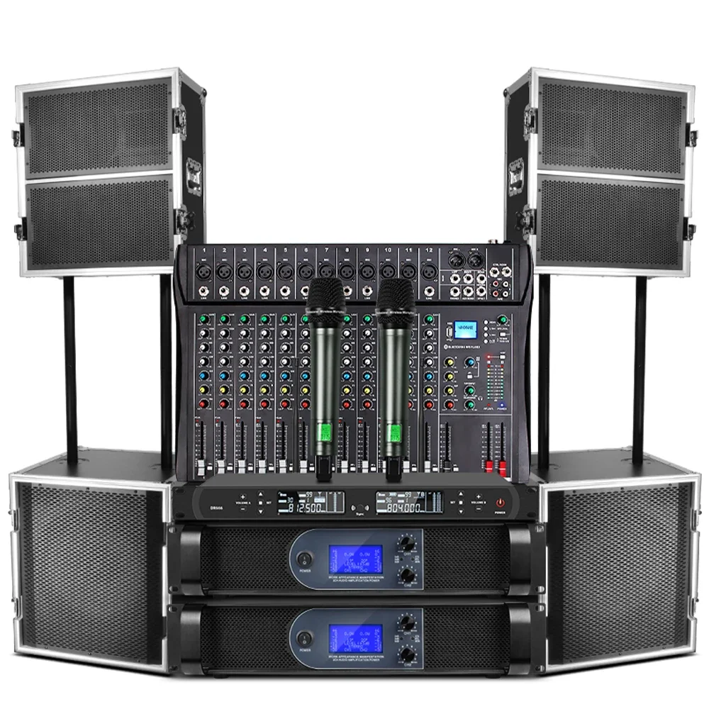 

Biner LS10 High Quality Dual 10 Inch 2 Channels Power 750W+750W Professional Audio Sound System Speakers