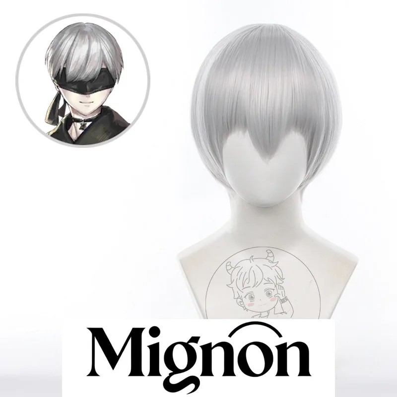 

NieR: Automata 9S cosplay wig silver gray daily short hair Halloween gift