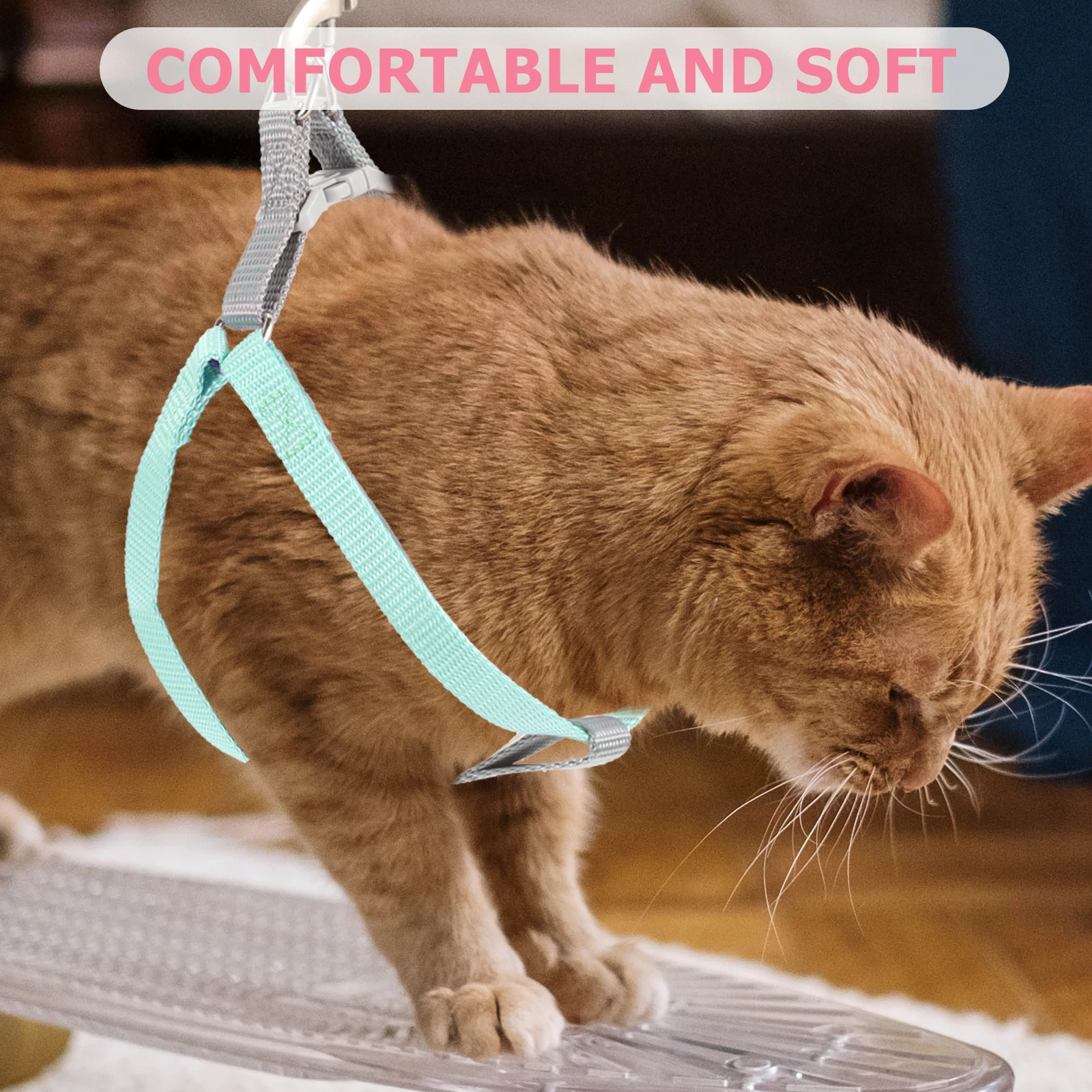 

Cat Strap Suit Leash Small Harness Animal Adjustable Kitten Size Flexible for Polyester