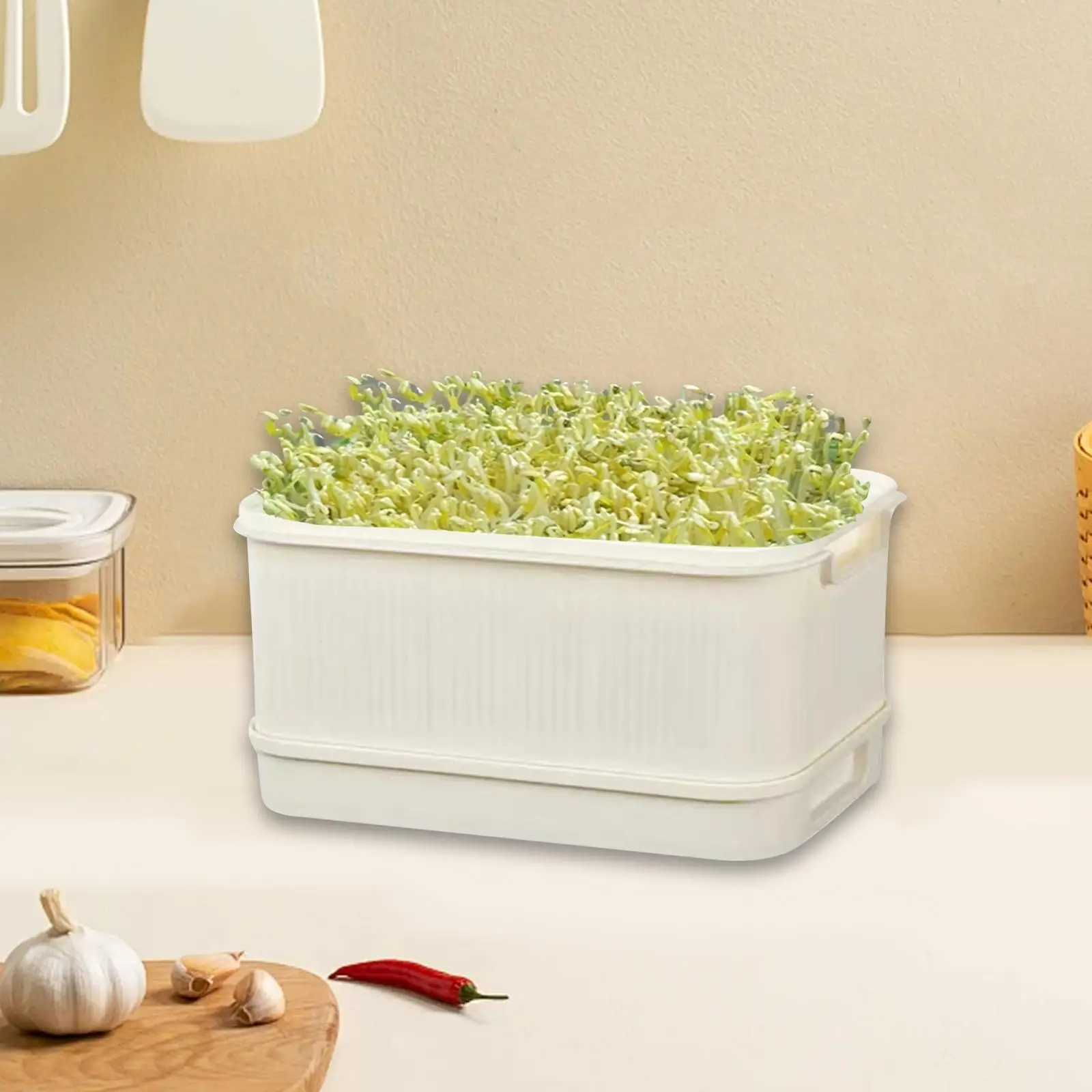 صينية براعم ذات سعة كبيرة ومتعددة الاستخدامات مع أغطية صينية إنبات حاوية زراعة للحديقة الداخلية والمكتب المنزلي والخارجي #2