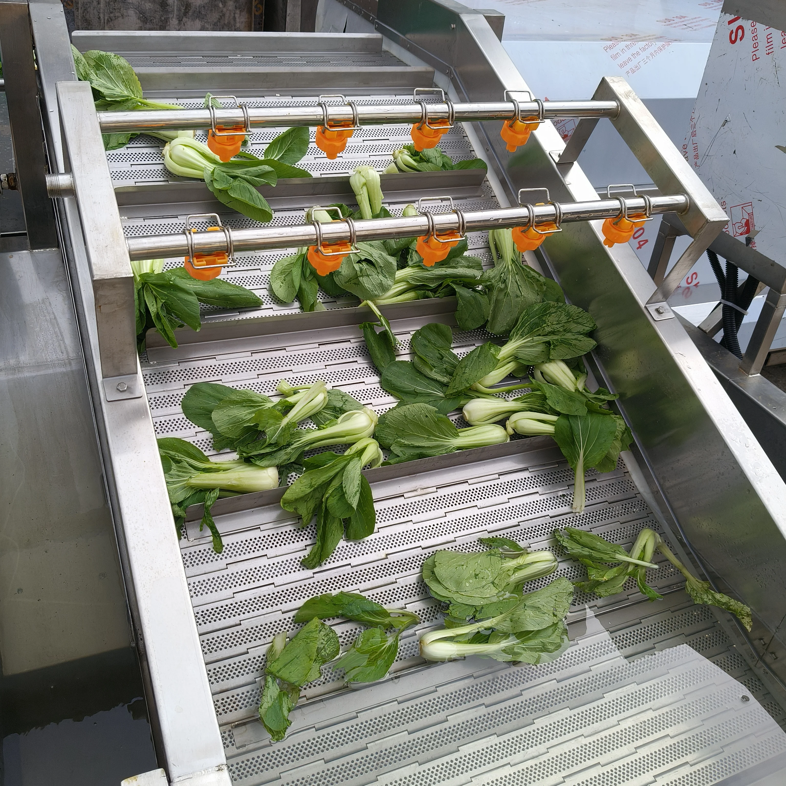 Mesin Pengupas dan Pencuci Sayuran Akar Otomatis untuk Restoran dan Pertanian Bahan Kaya Nutrisi